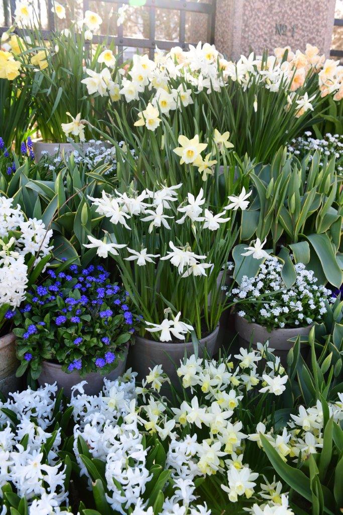 container-garden