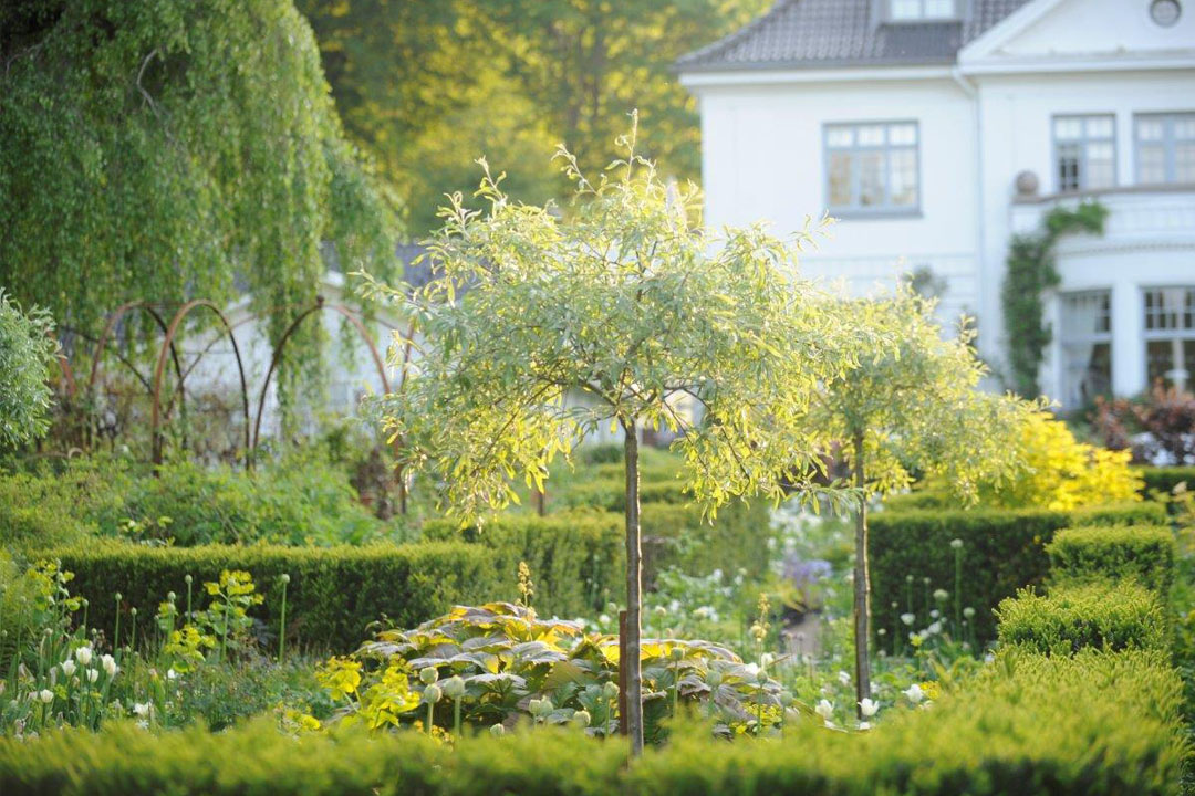 det-nederste-inderbed-header