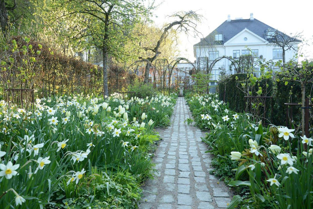 blog-det-hvide-bed-header