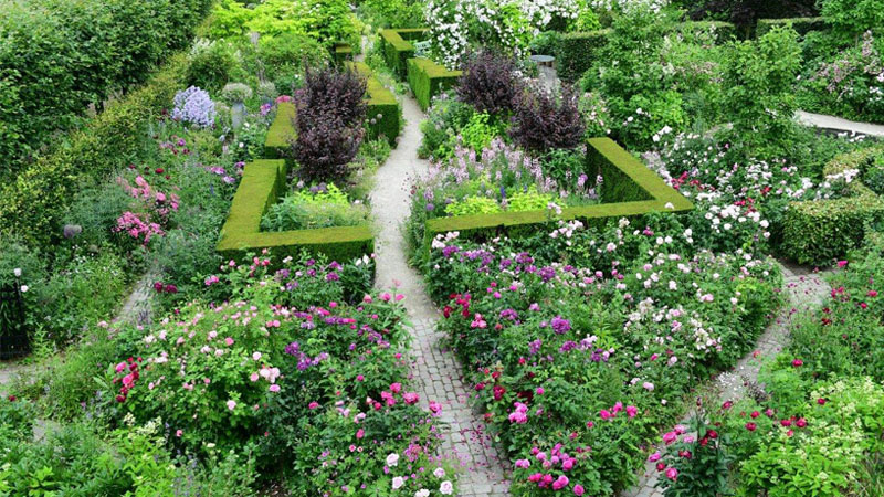 blomsterbede-claus-dalby